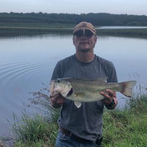 Meet your Posher, Edward